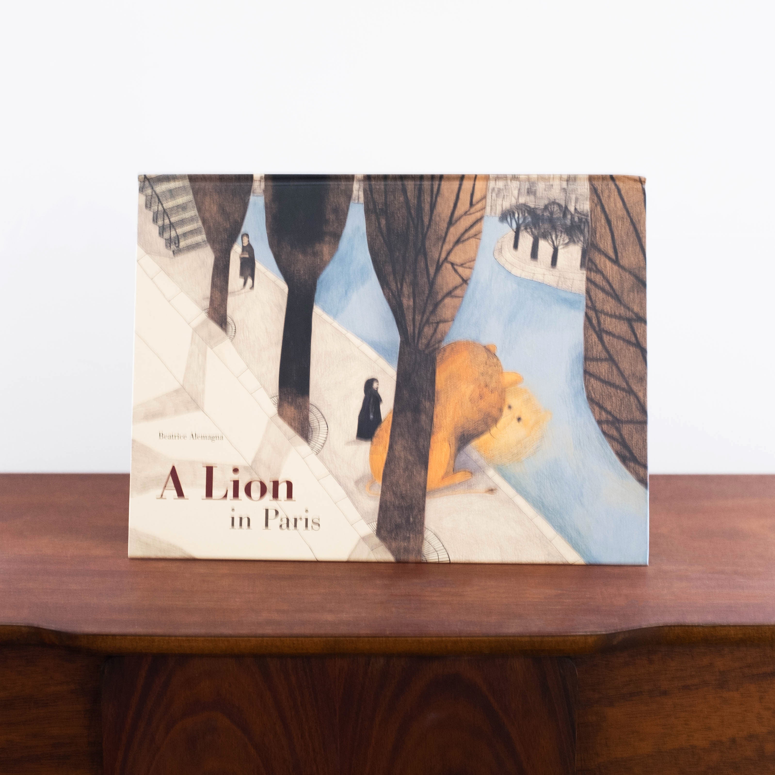 A Lion in Paris Book